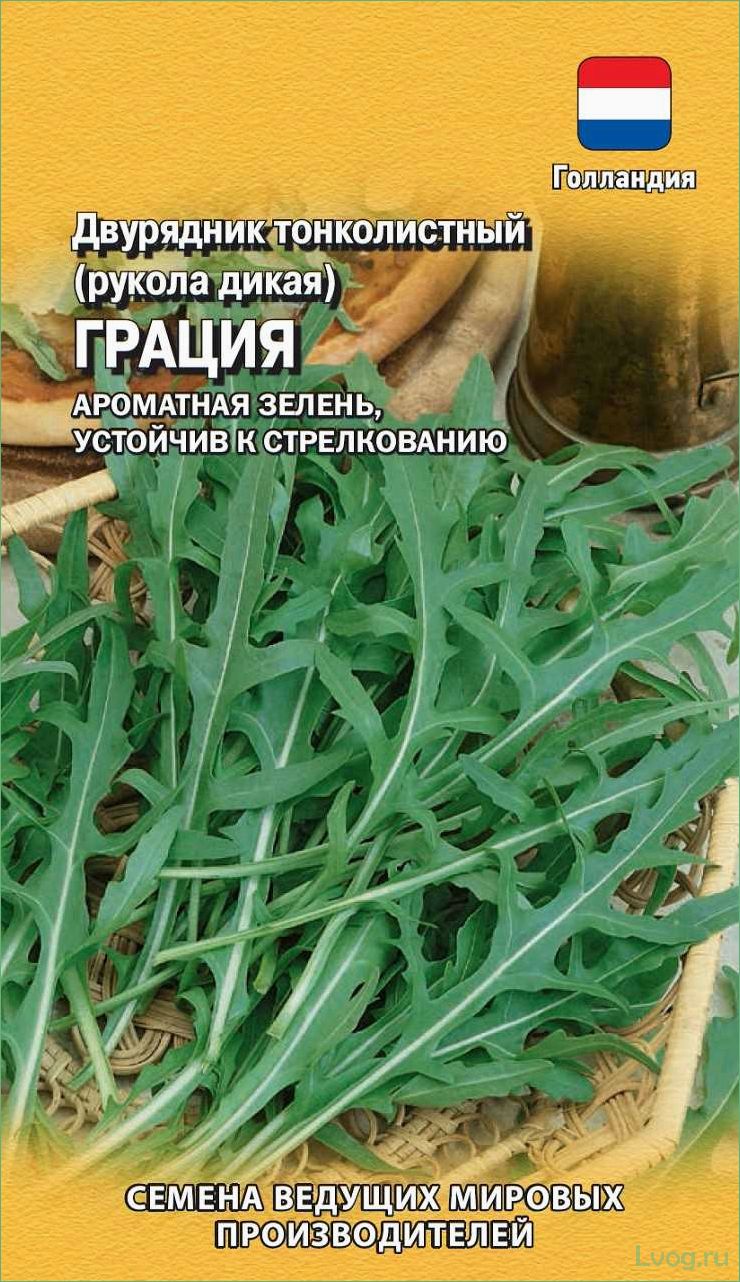 (двурядник, тонколистный, рукола, дикая, рокет) Двурядник тонколистный (Рукола дикая) Рокет: описание, выращивание, полезные свойства