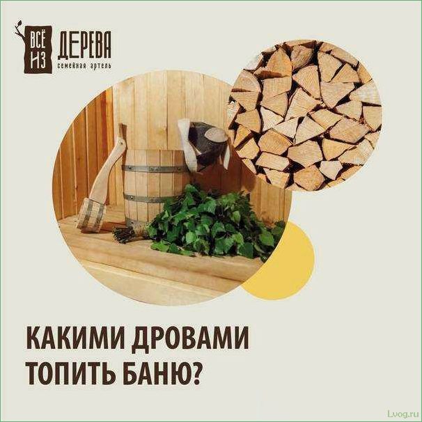 (дрова, выбрать, бани, сравнение) Какие дрова выбрать для бани: сравнение и рекомендации