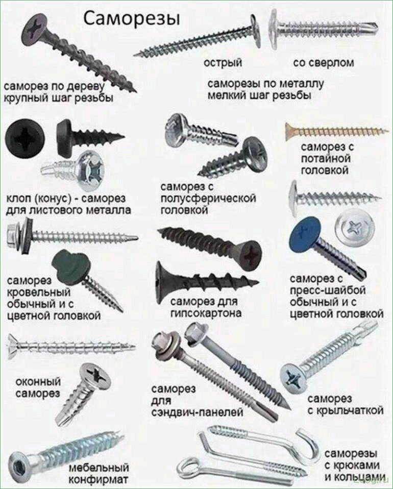 (разновидности, саморезов, поликарбоната, способы, крепления) Разновидности саморезов для поликарбоната и способы их крепления