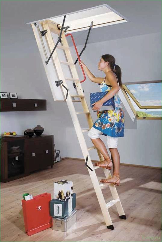 (чердачные, лестницы, fakro, обзор, плюсов) Чердачные лестницы Fakro — обзор плюсов и минусов