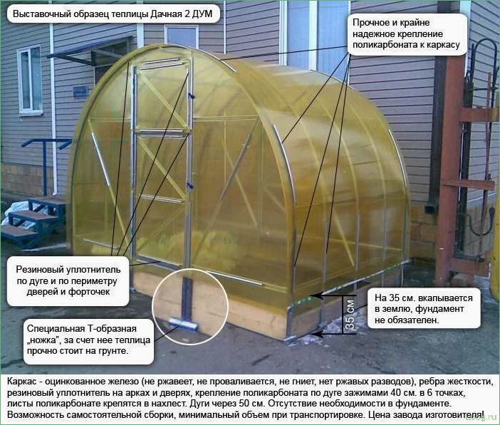 Дачная теплица «2ДУМ» — характеристики и тонкости монтажа