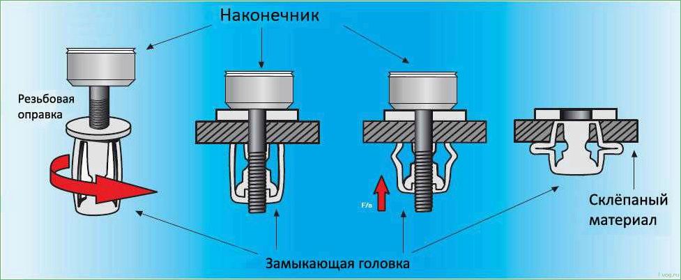(гайки-заклепки, разновидности, крепеж) Гайки-заклепки: разновидности и крепеж