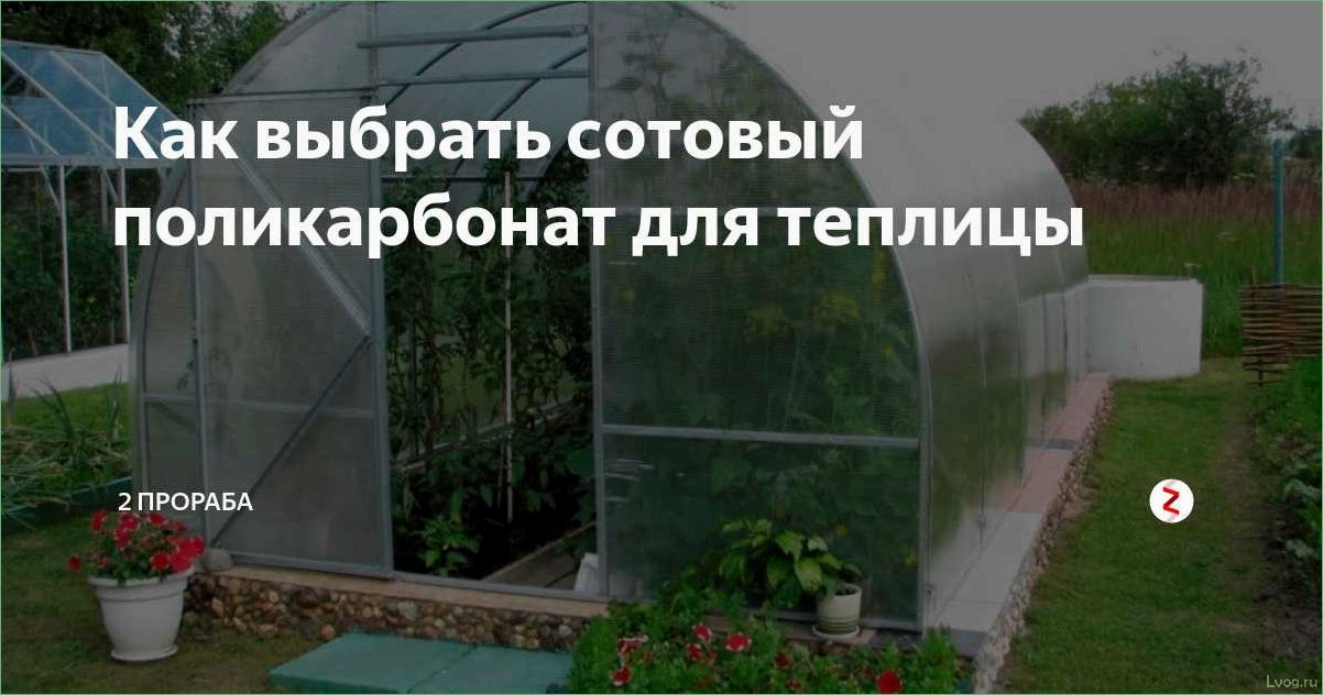 (выбрать, лучший, поликарбонат, теплицы) Как выбрать лучший поликарбонат для теплицы