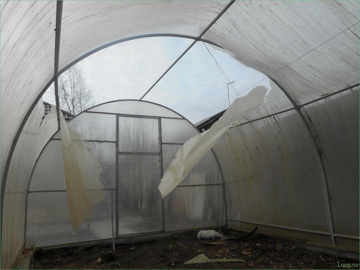 (выбрать, лучший, поликарбонат, теплицы) Как выбрать лучший поликарбонат для теплицы