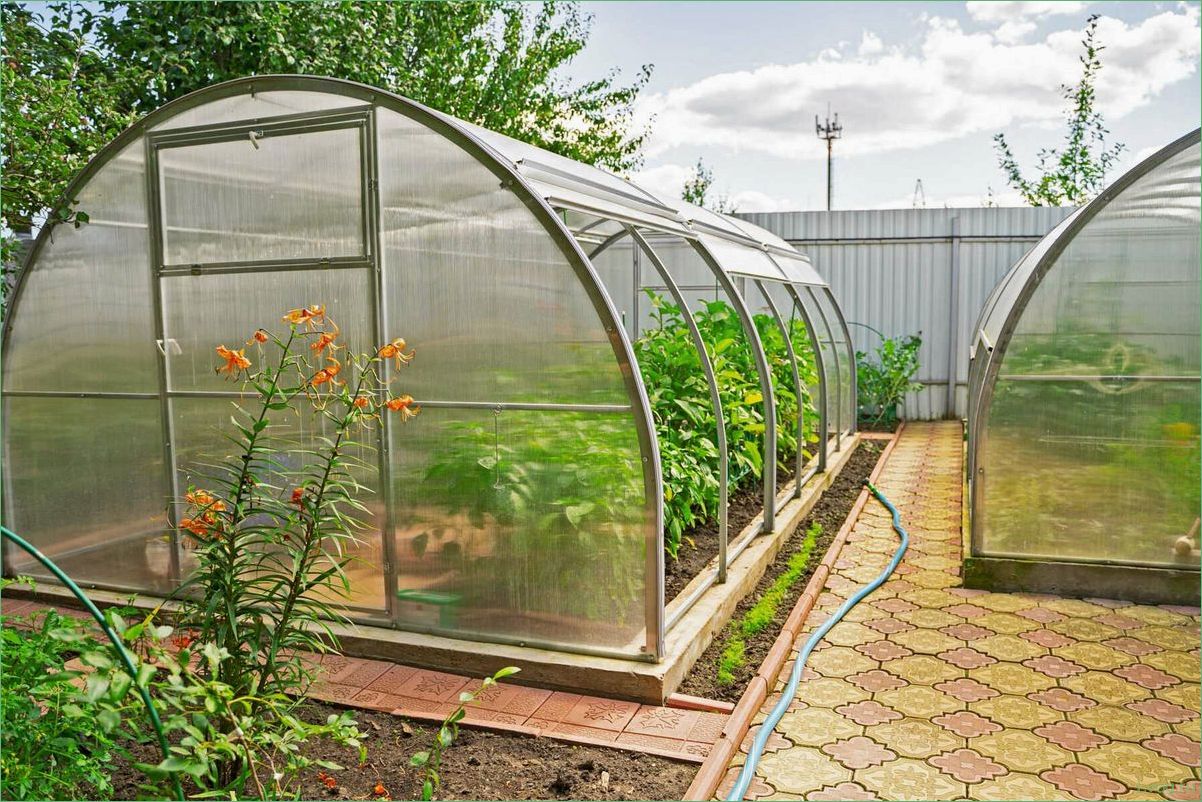 (теплицы, тюльпан, открывающимися, боками, сдвижной) Теплицы «Тюльпан» с открывающимися боками и сдвижной крышей