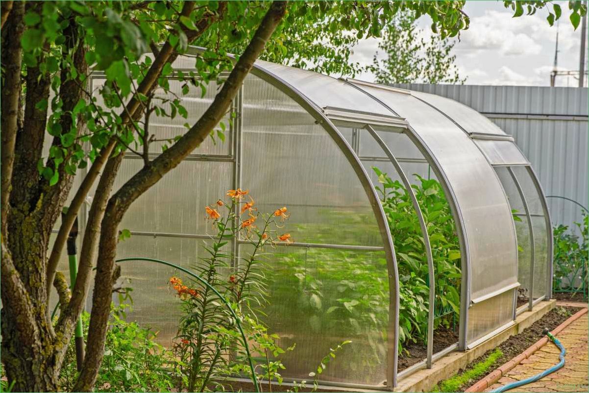 (теплицы, тюльпан, открывающимися, боками, сдвижной) Теплицы «Тюльпан» с открывающимися боками и сдвижной крышей