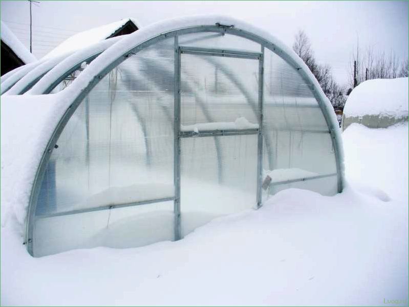 (теплицы, тюльпан, открывающимися, боками, сдвижной) Теплицы «Тюльпан» с открывающимися боками и сдвижной крышей