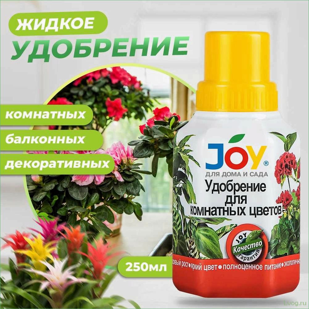 Удобрение Джой для комнатных цветов: эффективное питание и рост растений