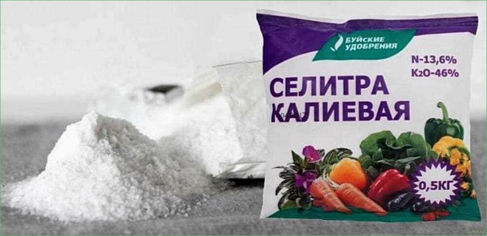 (удобрение, селитра, калиевая, полезные, свойства) Удобрение Селитра калиевая: полезные свойства и применение