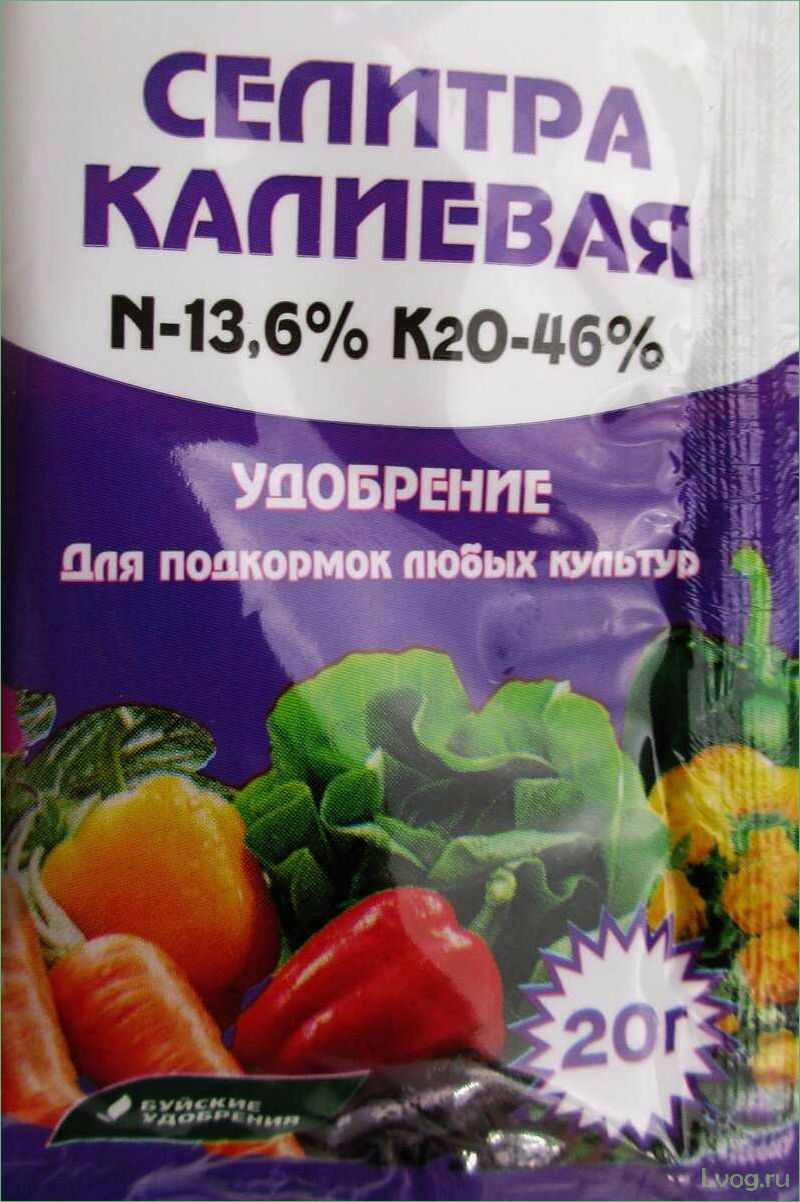 (удобрение, селитра, калиевая, полезные, свойства) Удобрение Селитра калиевая: полезные свойства и применение