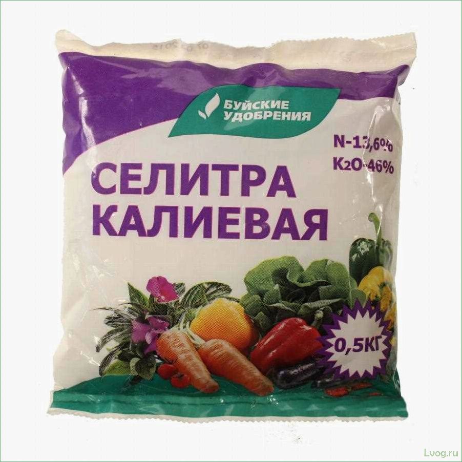 (удобрение, селитра, калиевая, полезные, свойства) Удобрение Селитра калиевая: полезные свойства и применение