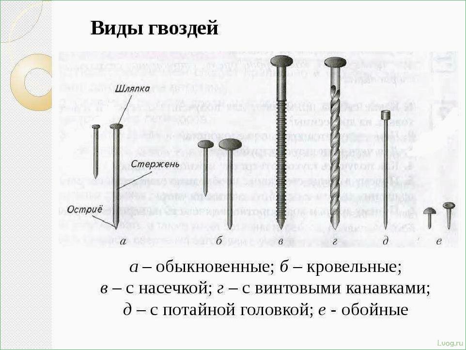 (строительных, гвоздях, виды, применение, особенности) Все о строительных гвоздях: виды, применение, особенности