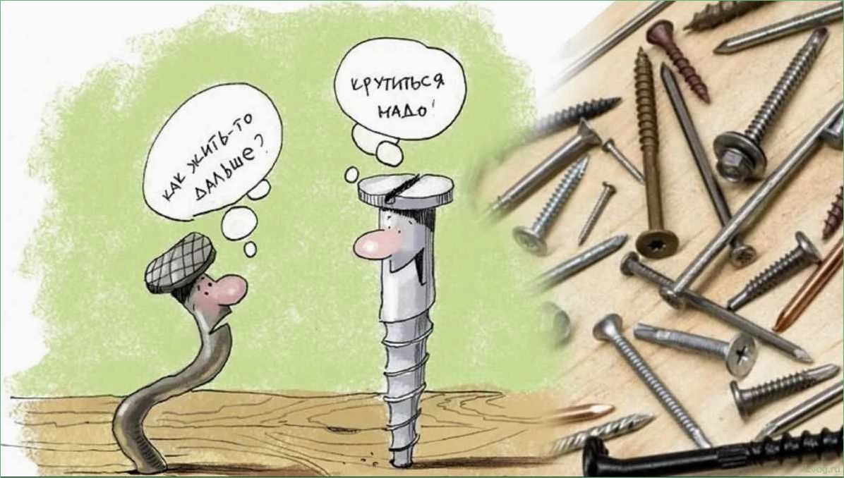 (строительных, гвоздях, виды, применение, особенности) Все о строительных гвоздях: виды, применение, особенности