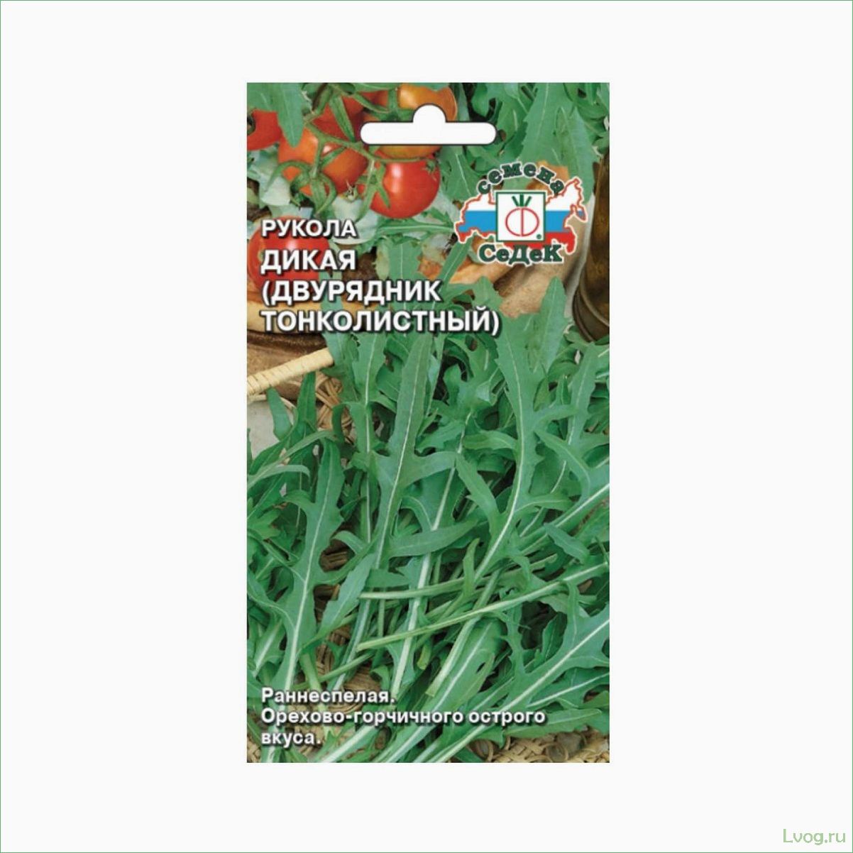 Двурядник тонколистный (Рукола дикая) Грация: выращивание, особенности и полезные свойства