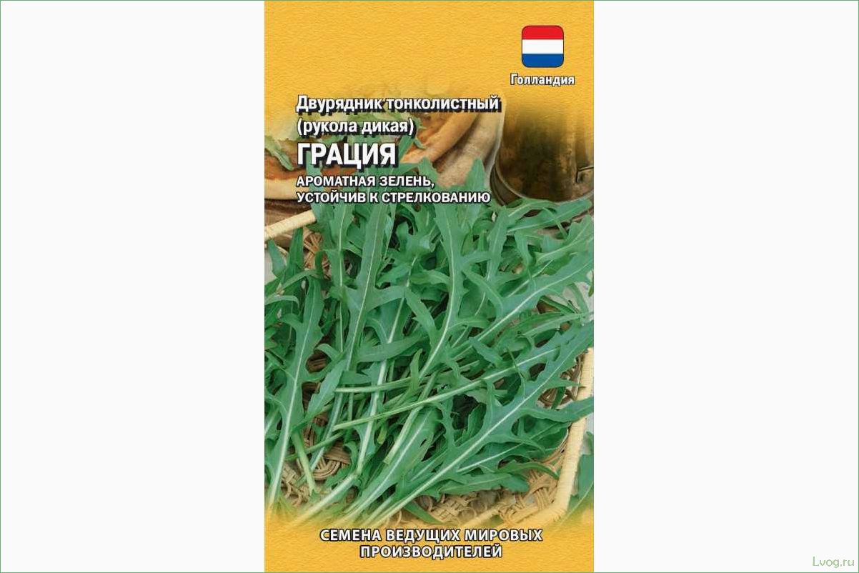 Двурядник тонколистный (Рукола дикая) Грация: выращивание, особенности и полезные свойства
