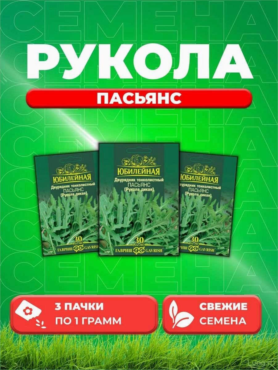 Двурядник тонколистный (Рукола дикая) Грация: выращивание, особенности и полезные свойства