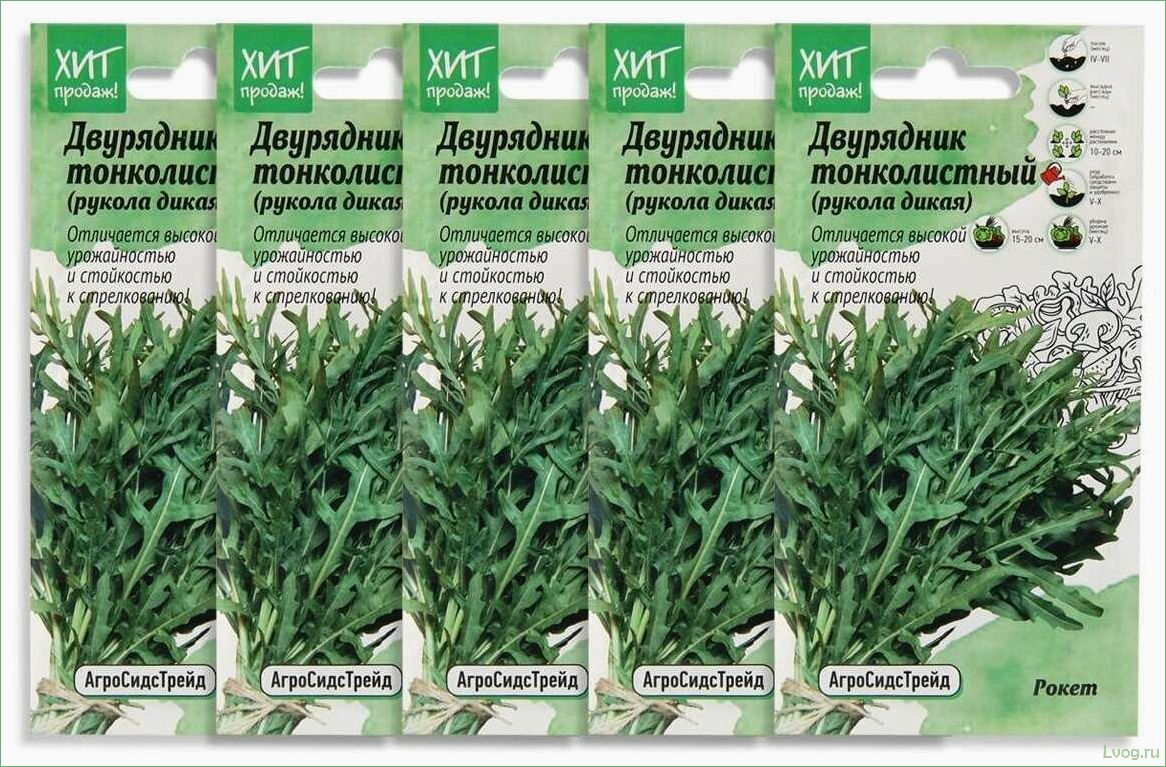 Двурядник тонколистный (Рукола дикая) Позитив — полезные свойства и преимущества