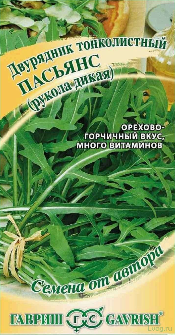 Двурядник тонколистный (Рукола дикая) Грация: выращивание, особенности и полезные свойства