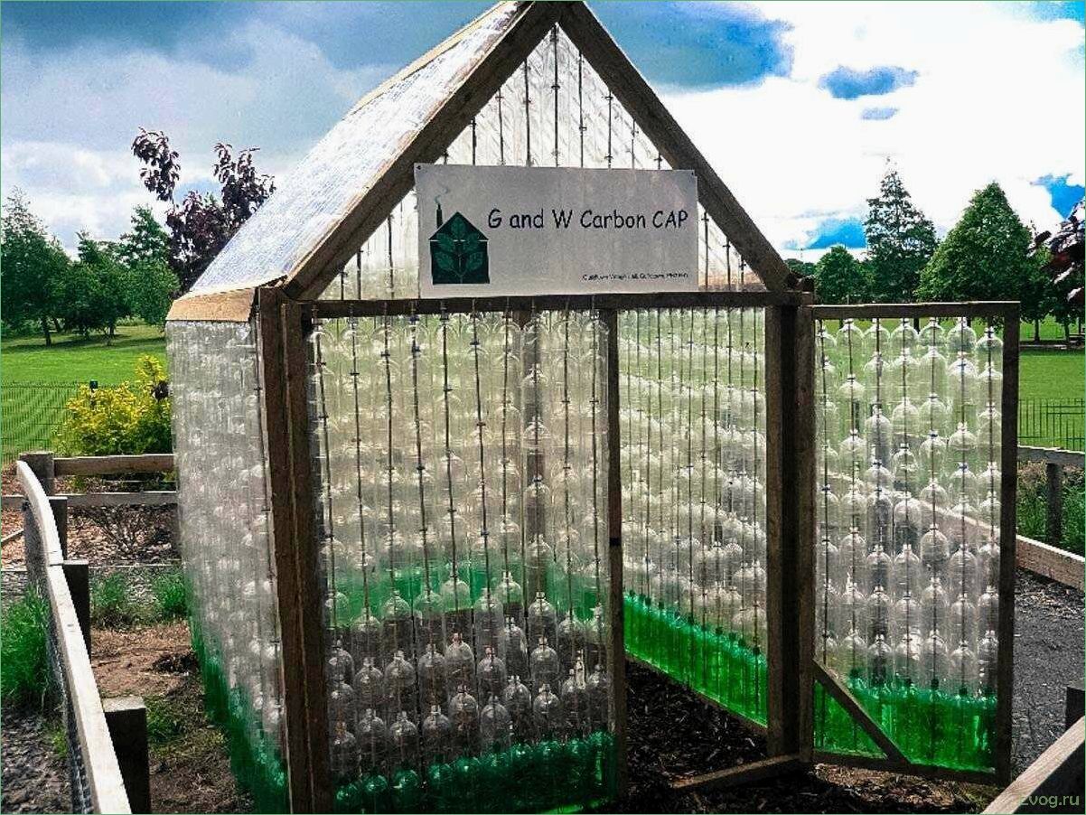 (изготовление, теплиц, пластиковых, бутылок, пошаговая) Изготовление теплиц из пластиковых бутылок: пошаговая инструкция и полезные советы