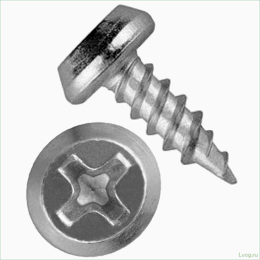 (описание, саморезов, клопов, эффективное, применение) Описание саморезов «клопов» и эффективное применение в строительстве