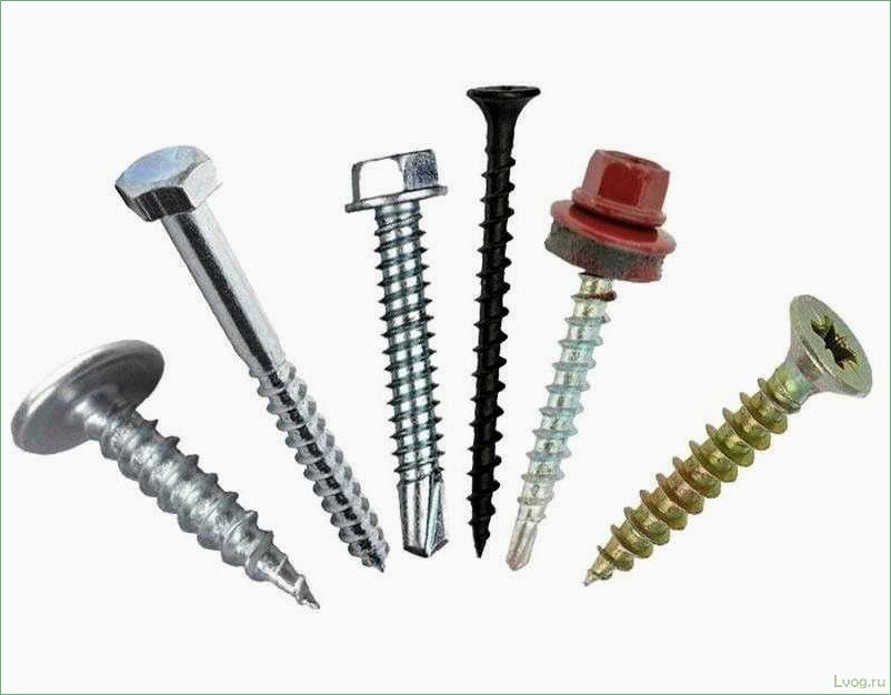 Разнообразие и применение саморезов по металлу: отбор лучших моделей и советы по выбору
