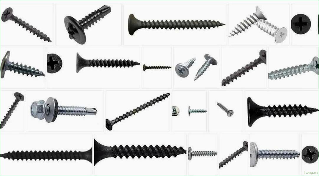 Разнообразие и применение саморезов по металлу: отбор лучших моделей и советы по выбору