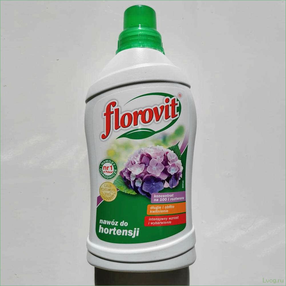 (удобрение, флоровит, florovit, гортензий, секреты) Удобрение Флоровит (Florovit) для гортензий: секреты успешного выращивания и ухаживания