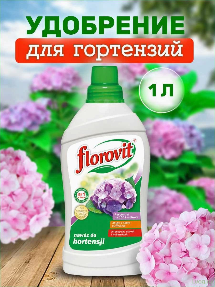 (удобрение, флоровит, florovit, гортензий, секреты) Удобрение Флоровит (Florovit) для гортензий: секреты успешного выращивания и ухаживания