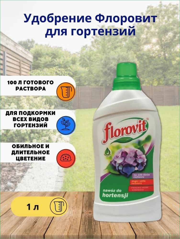 (удобрение, флоровит, florovit, гортензий, секреты) Удобрение Флоровит (Florovit) для гортензий: секреты успешного выращивания и ухаживания