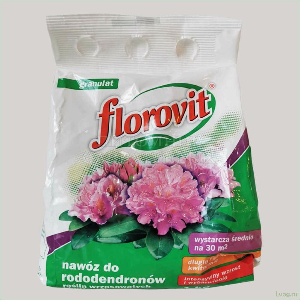 (удобрение, флоровит, florovit, гортензий, секреты) Удобрение Флоровит (Florovit) для гортензий: секреты успешного выращивания и ухаживания