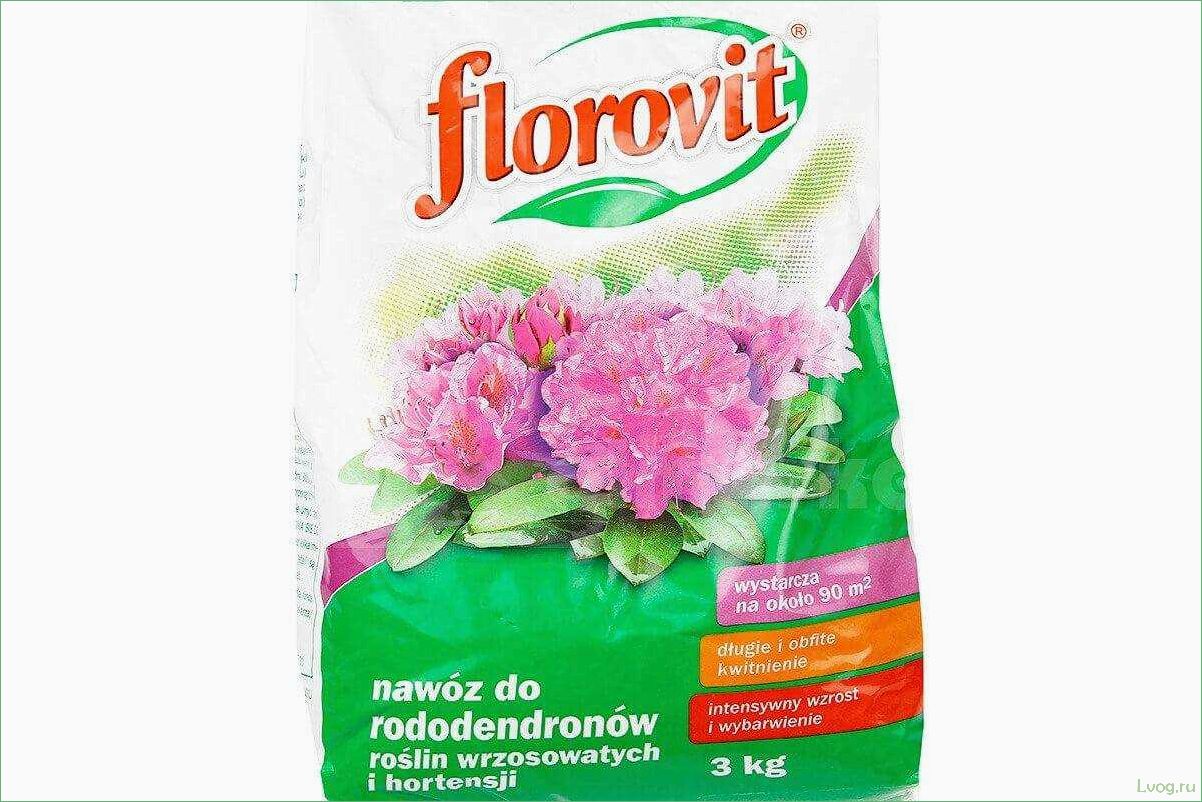 (удобрение, флоровит, florovit, гортензий, секреты) Удобрение Флоровит (Florovit) для гортензий: секреты успешного выращивания и ухаживания