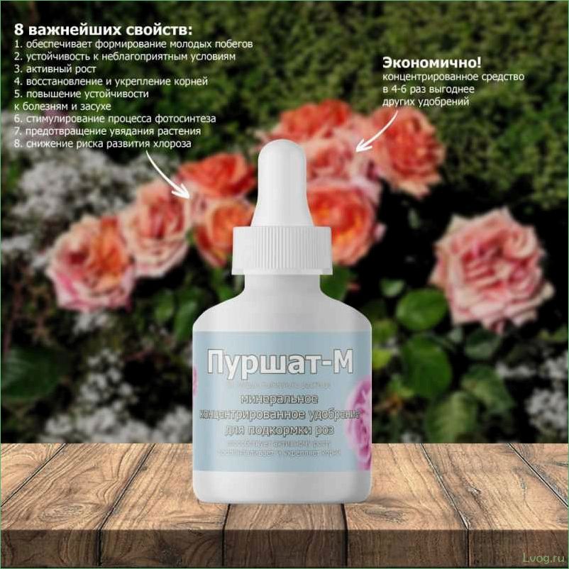 Удобрение Пуршат-М концентрат для роз: эффективное средство для роскошного цветения