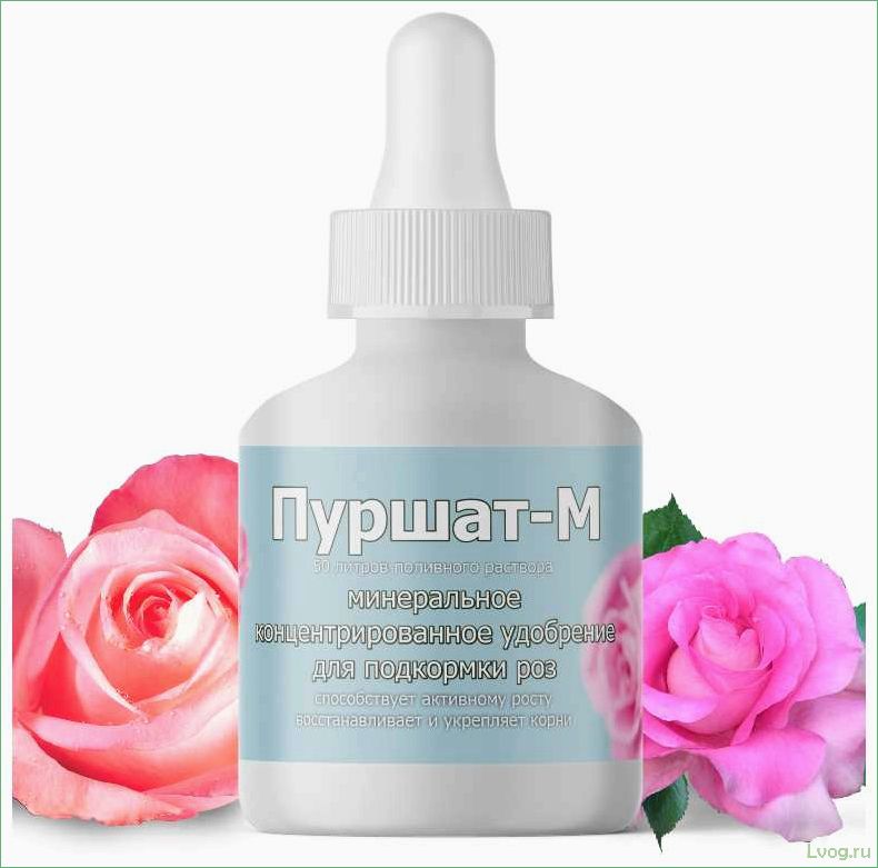 Удобрение Пуршат-М концентрат для роз: эффективное средство для роскошного цветения