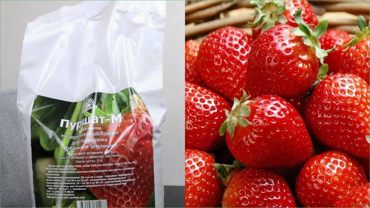 Удобрение Пуршат-М для клубники и земляники