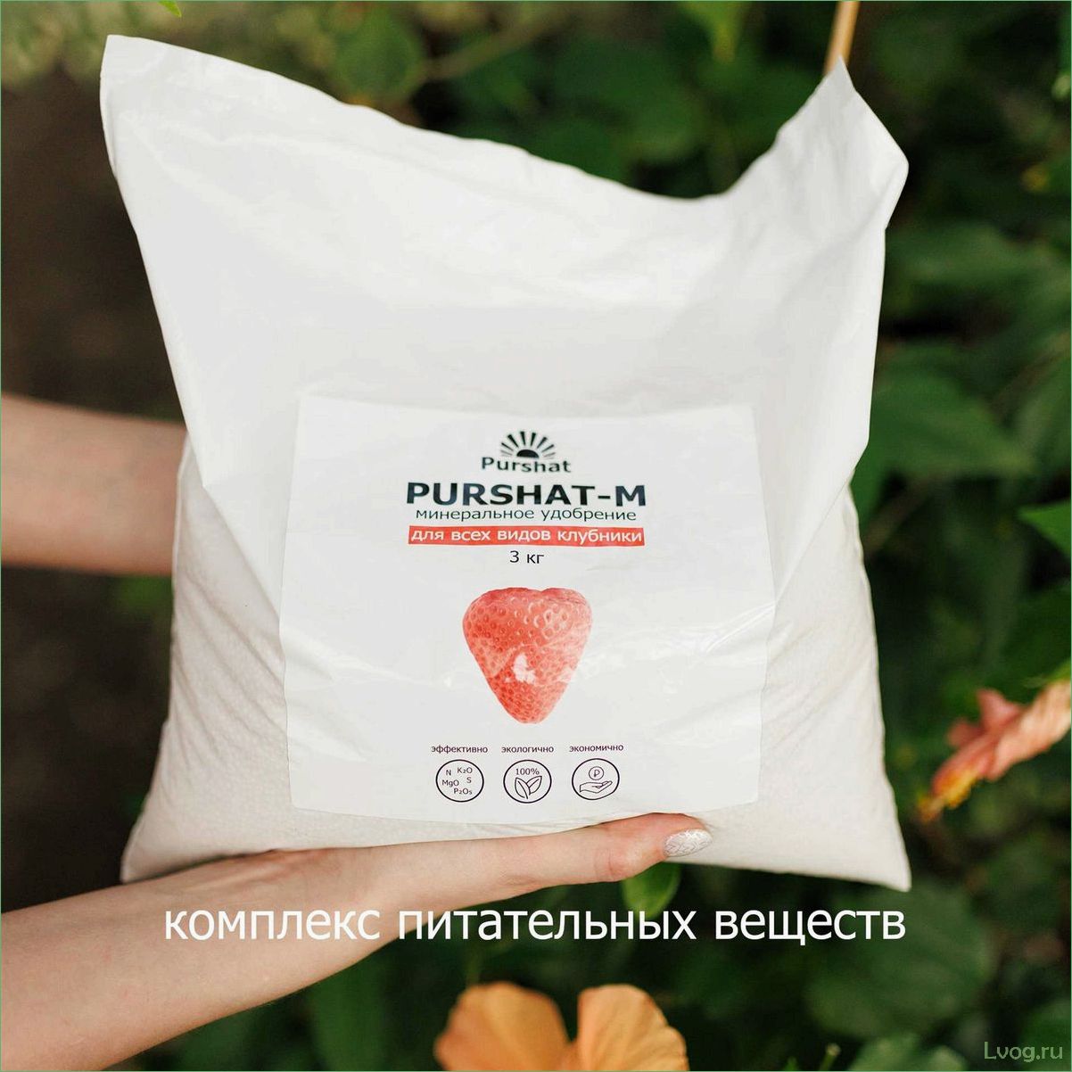 Удобрение Пуршат-М для клубники и земляники