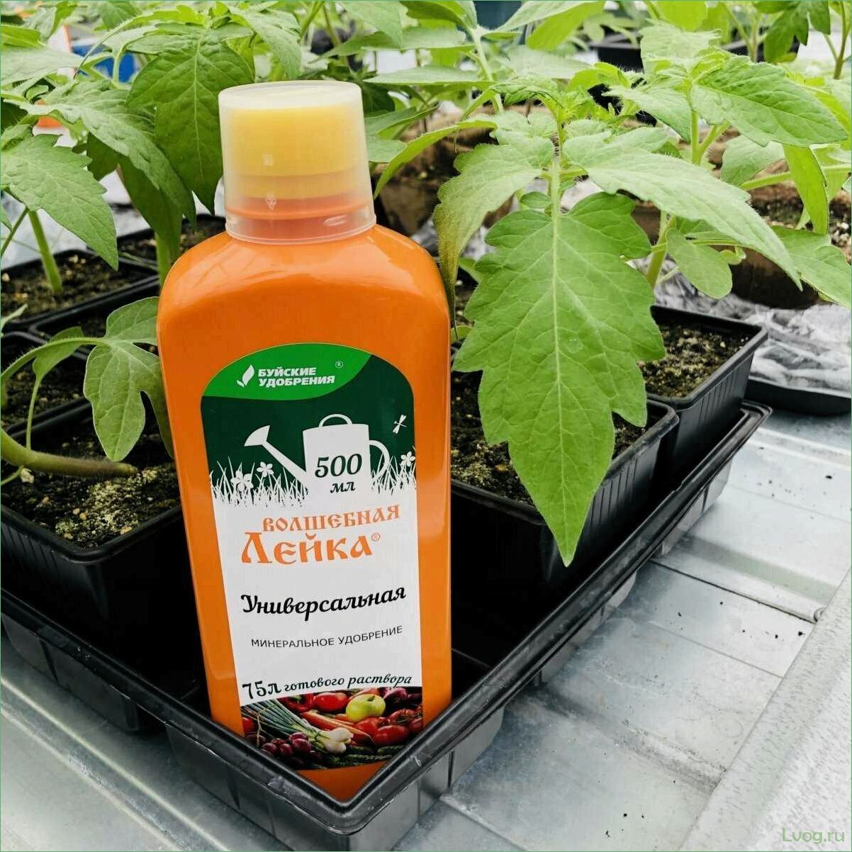 Удобрение Волшебная лейка для огурцов, тыкв, кабачков, патиссонов