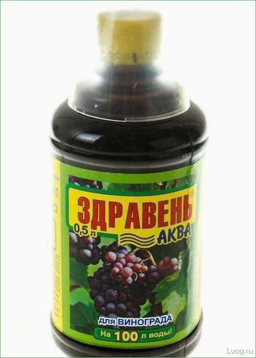 Удобрение Здравень Аква для винограда: эффективное средство для богатого урожая
