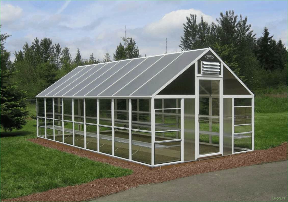 Разница между парниками и теплицами: основные отличия и преимущества