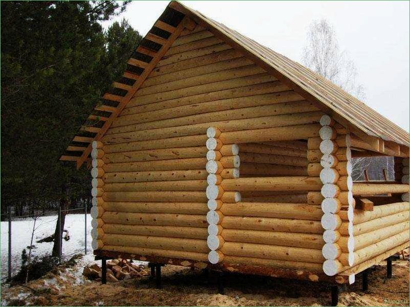 (банях, винтовых, сваях, особенности, выбора) Все о банях на винтовых сваях: особенности выбора и строительства