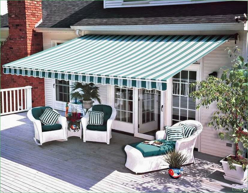 (маркизы, история, характеристики, особенности) Маркизы: история, характеристики, особенности