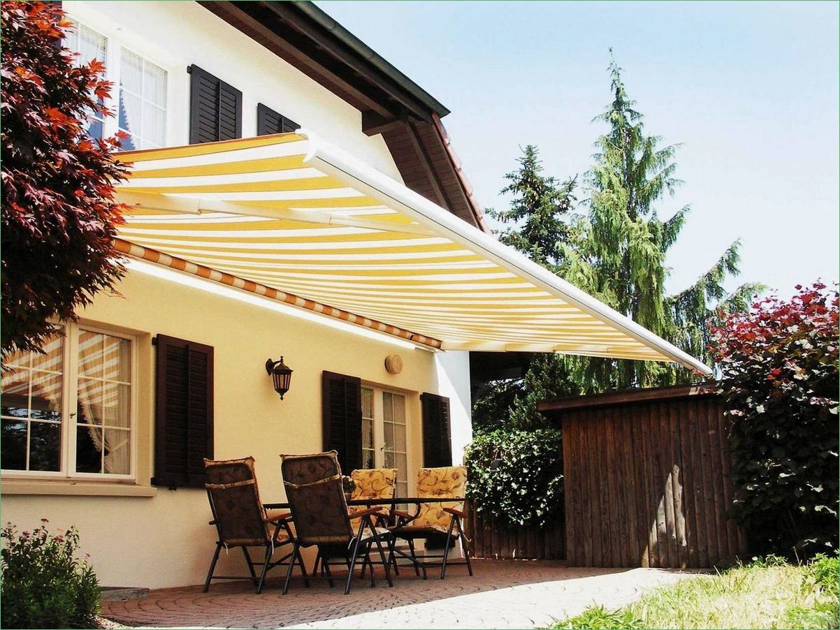 (маркизы, история, характеристики, особенности) Маркизы: история, характеристики, особенности