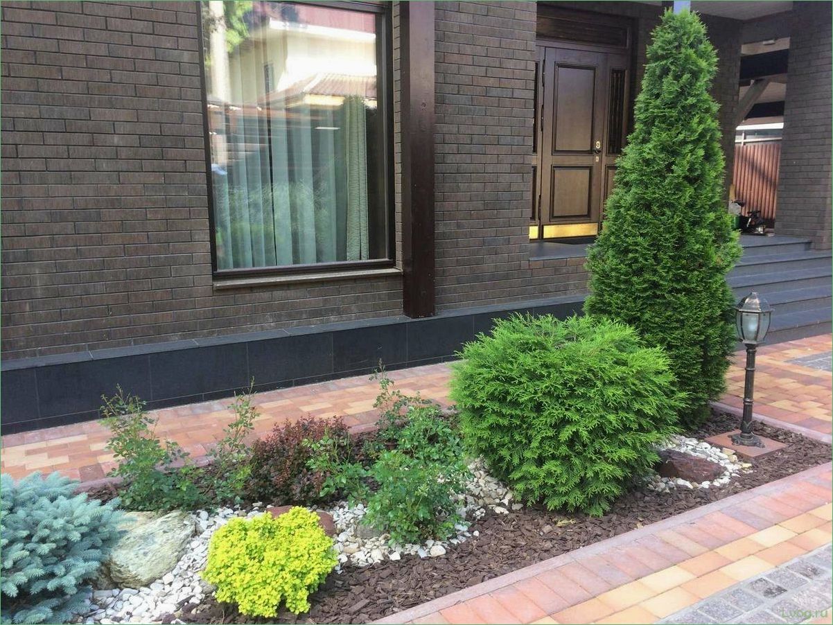 Туи в ландшафтном дизайне: идеи и советы для использования