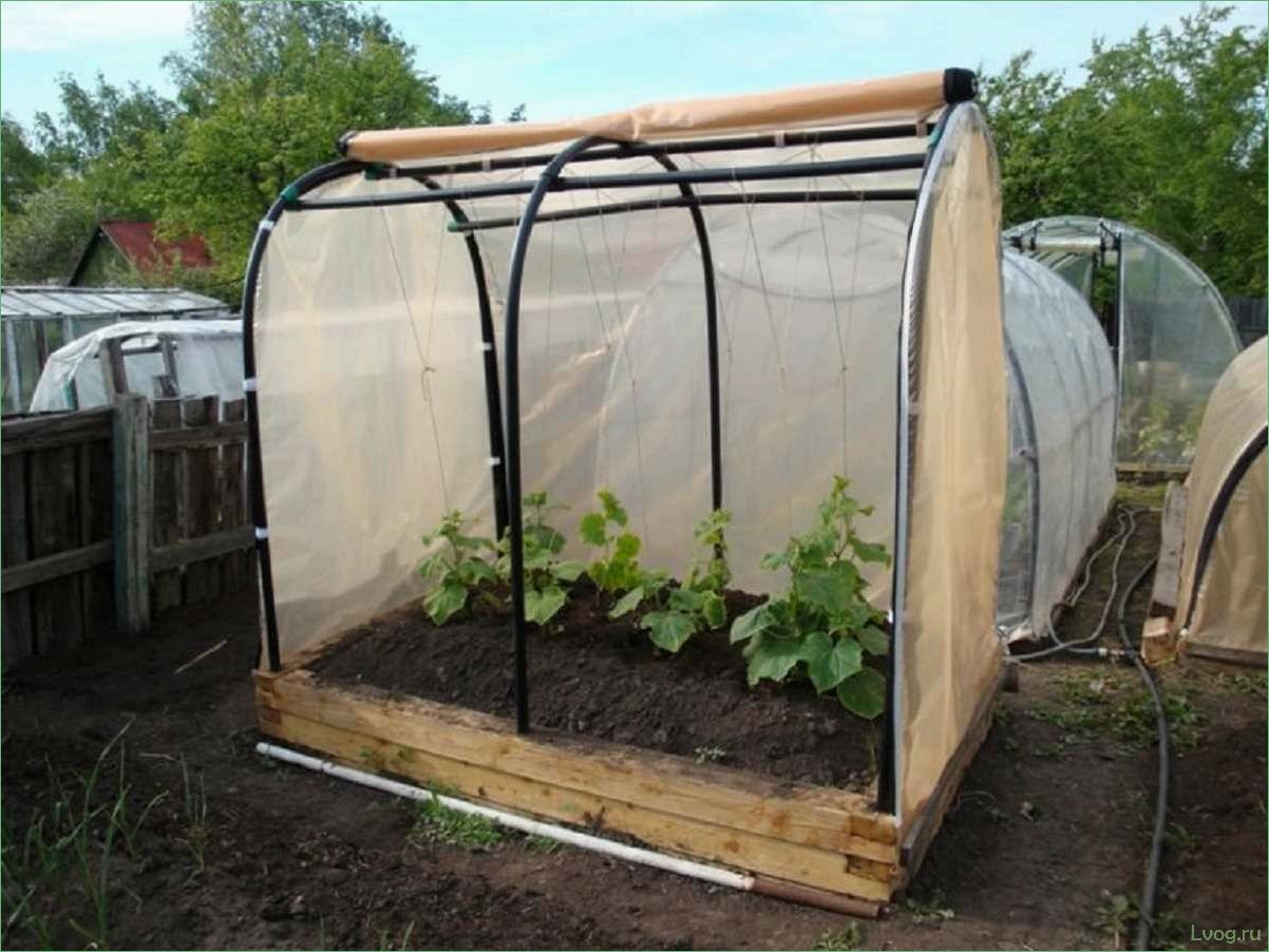 Изготовление огуречника из поликарбоната: пошаговая инструкция