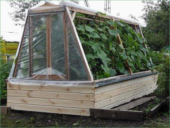 Изготовление огуречника из поликарбоната: пошаговая инструкция