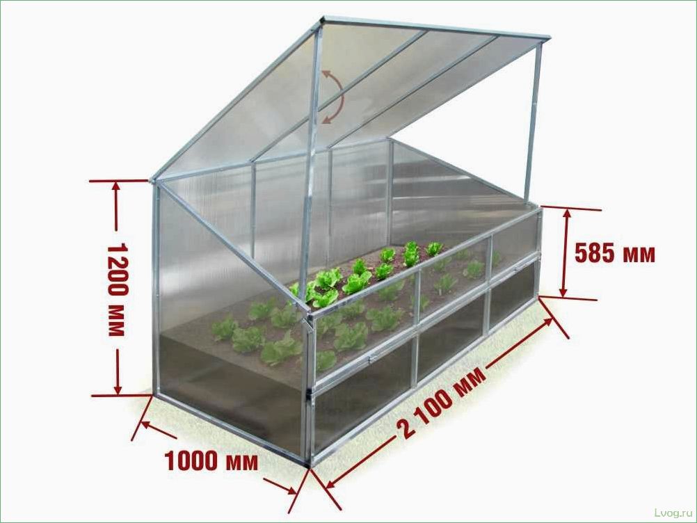 Изготовление огуречника из поликарбоната: пошаговая инструкция