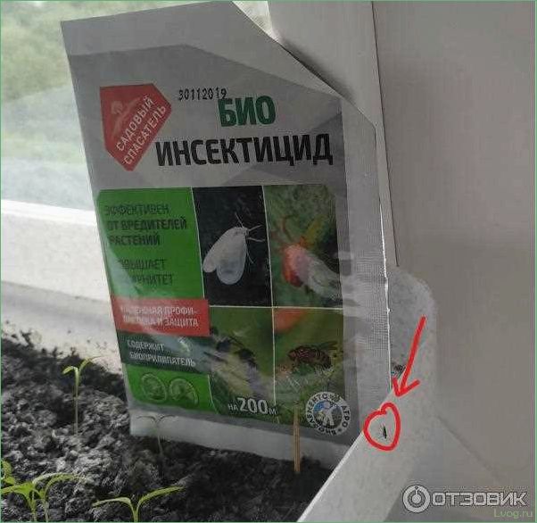Препарат Био Инсектицид Садовый спасатель — эффективное средство от вредителей в саду