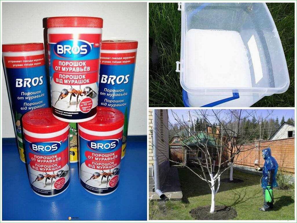 Препарат Брос (Bros) Порошок от муравьев: эффективное средство для борьбы с насекомыми