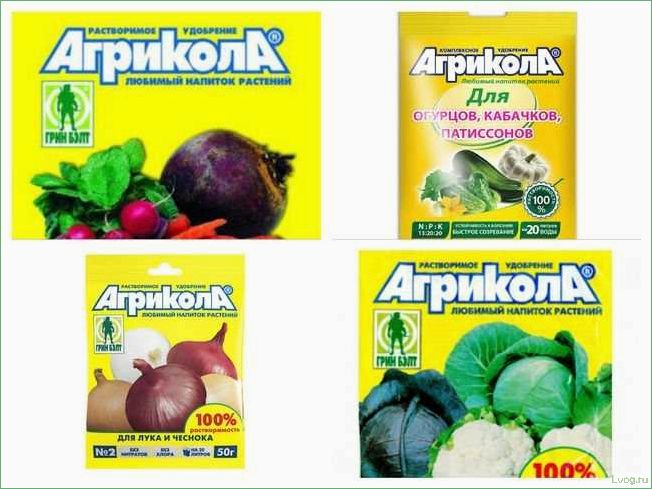 Удобрение Агрикола для огурцов, кабачков, патиссонов: эффективное решение для богатого урожая