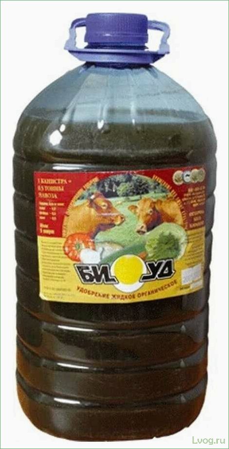 Удобрение БИУД жидкое органическое конский навоз: преимущества и применение