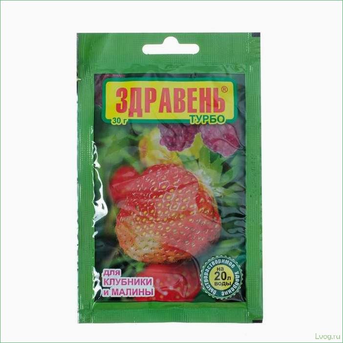Удобрение Здравень Турбо для клубники и малины: эффективное питание для богатого урожая